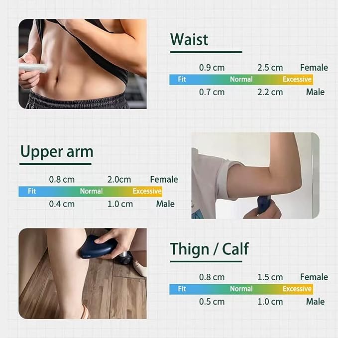 Body Fat & Muscle Tracker